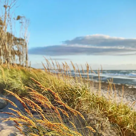 Otto Holiday home Born